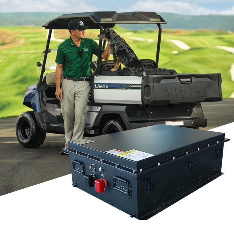 بطارية الليثيوم 125Ah 51.2V بطارية LiFePO4 4000 مرة عمر الدورة
